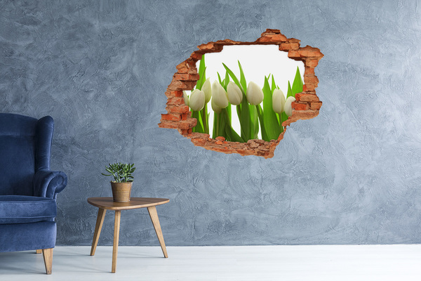 Lyuk 3d fali matrica Fehér tulipán