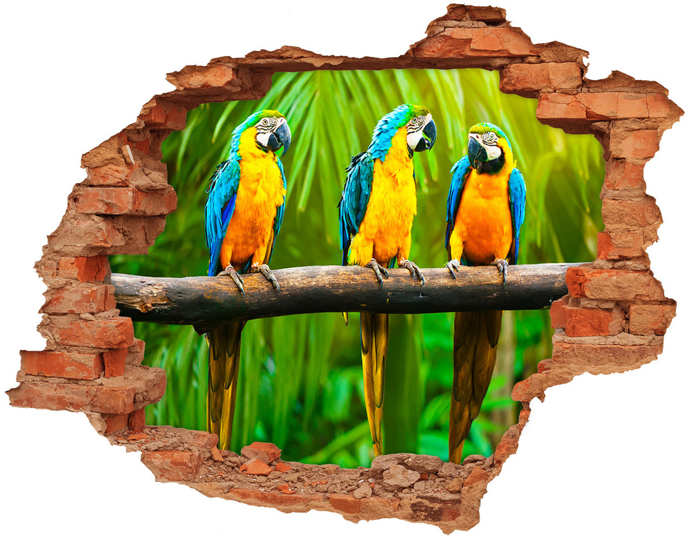 Lyuk 3d fali matrica Papagájok, elágazik