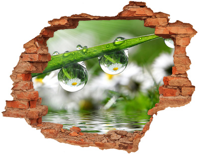 3d-s lyuk vizuális effektusok matrica Virágos oázis vízcseppekkel