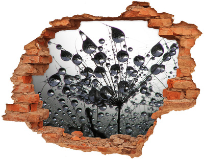 3d-s lyuk vizuális effektusok matrica Vízcseppek a pitypangon