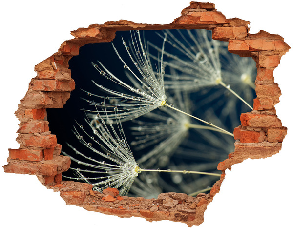 3d-s lyuk vizuális effektusok matrica Pitypang virágok a vízben