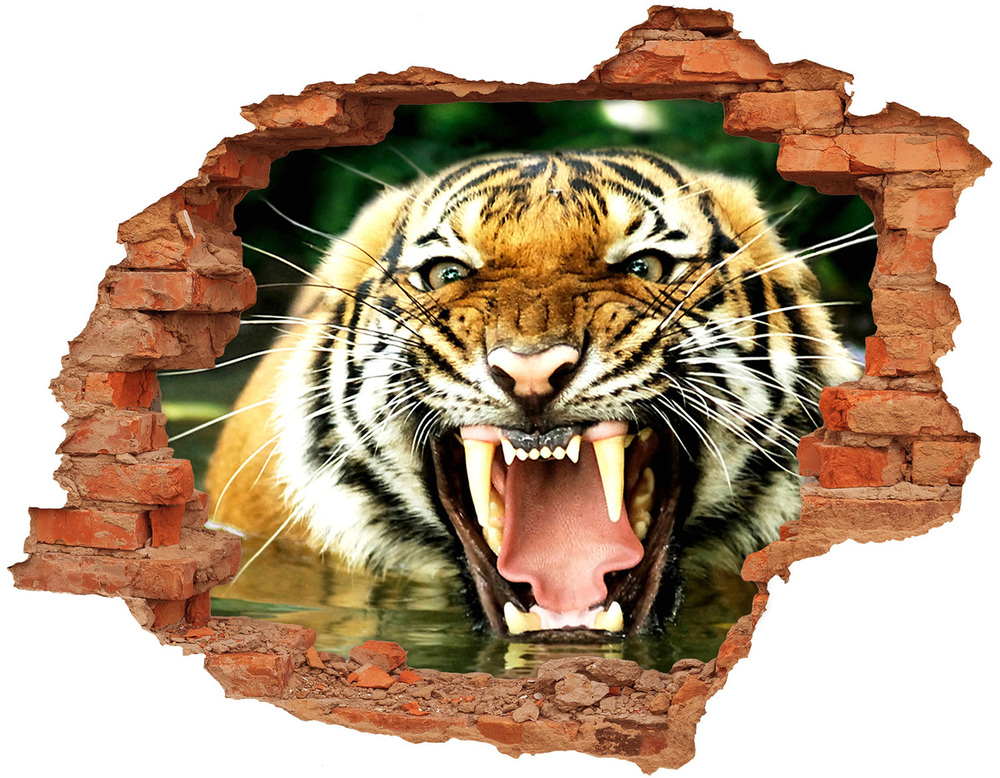 3d-s lyuk vizuális effektusok matrica Ordító tigris
