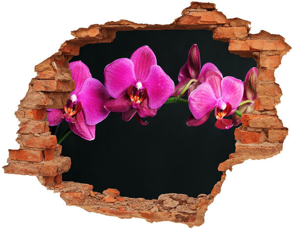 3d-s lyuk vizuális effektusok matrica Orchidea