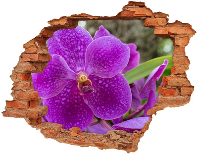 3d-s lyuk vizuális effektusok matrica Orchidea