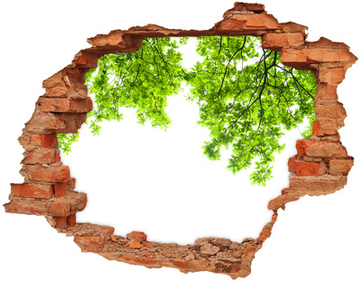 3d-s lyuk vizuális effektusok matrica Zöld oázis a fal mögött