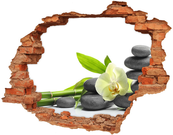 Fali matrica lyuk a falban Pihentető wellness sarok