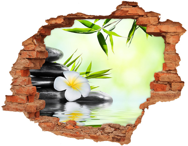 Fali matrica lyuk a falban A béke oázisa a természetben