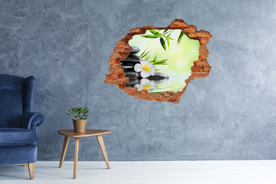 Fali matrica lyuk a falban A béke oázisa a természetben