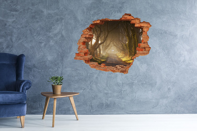 Fali matrica lyuk a falban Egy ösvény a fák között