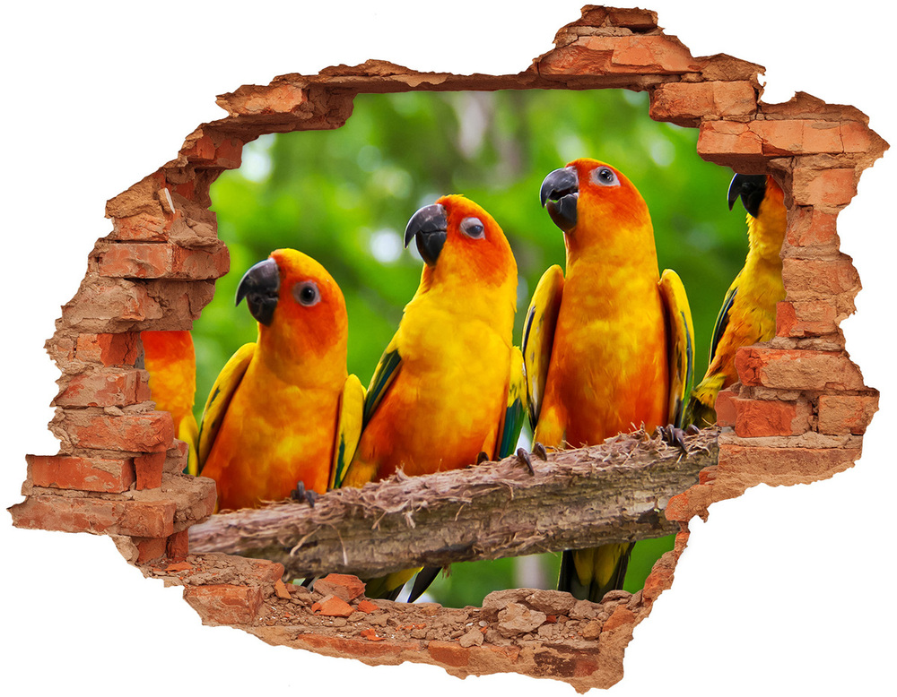 Fali matrica lyuk a falban Papagájok, elágazik