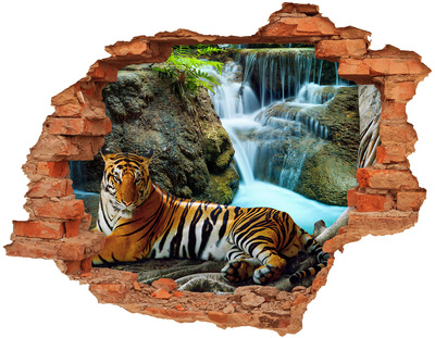 Fali matrica lyuk a falban Tigris vízesés