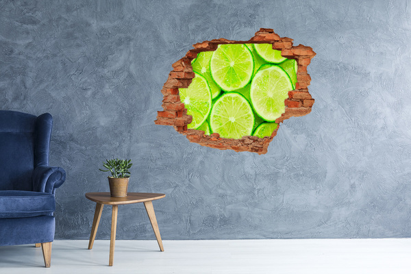 Fali matrica lyuk a falban Friss mész betonban