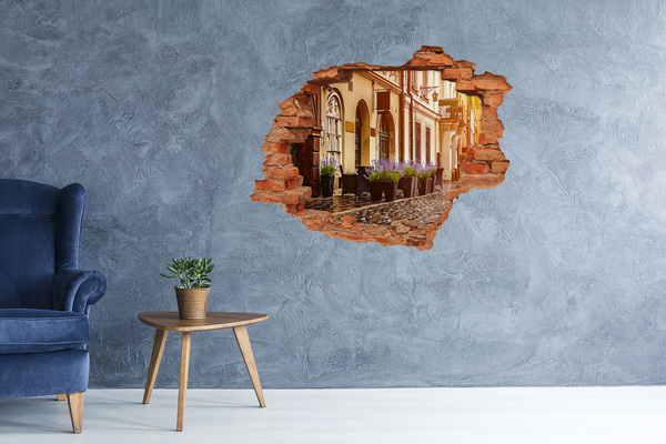 Fali matrica lyuk a falban Egy bájos sarok levendulával