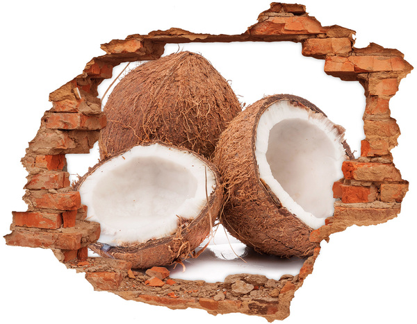 Fali matrica lyuk a falban Kókusz kincsek