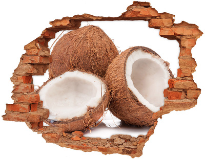 Fali matrica lyuk a falban Kókusz kincsek