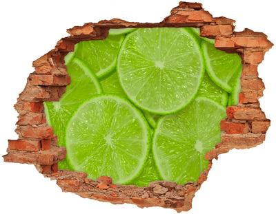 Fali matrica lyuk a falban Limes