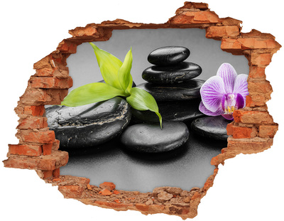 Fali matrica lyuk a falban Pihentető kilátás kövekkel és növényekkel