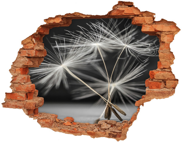 Fali matrica lyuk a falban Pitypang virágok betonban