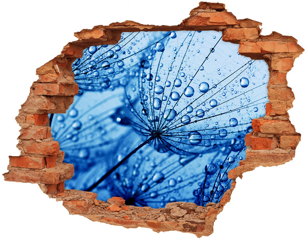 Fali matrica lyuk a falban Cseppek víz egy finom virágon