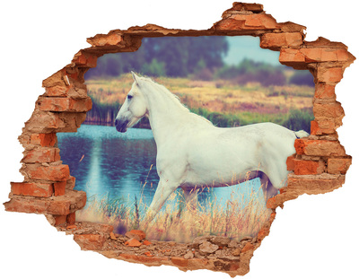 3d-s lyukat fali matrica White horse-tó