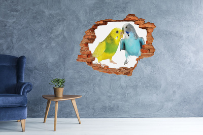 3d-s lyukat fali matrica Budgies