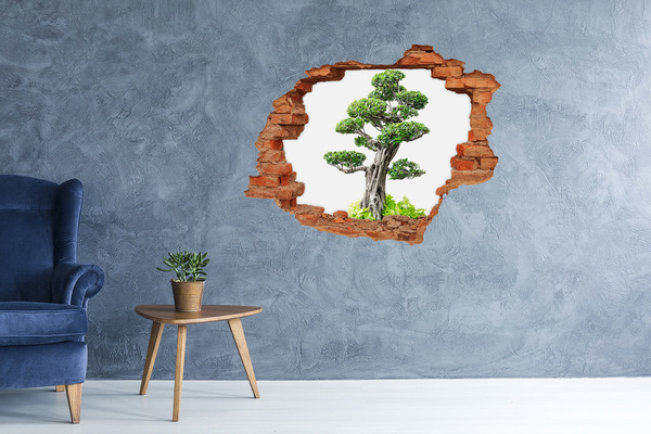 3d-s lyukat fali matrica Bonsai egy lyukban a falban