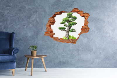 3d-s lyukat fali matrica Bonsai egy lyukban a falban