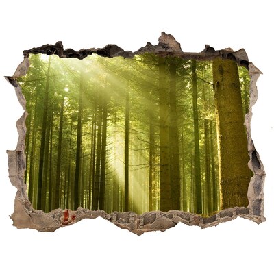 Fali matrica lyuk a falban Egy fenyves erdőben