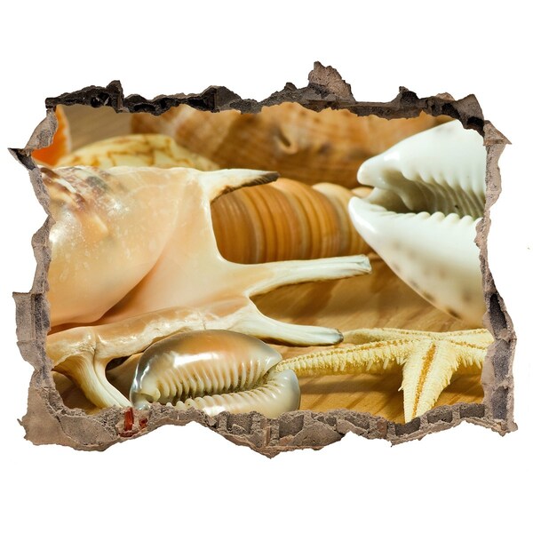 Fali matrica lyuk a falban Tengeri kincsek