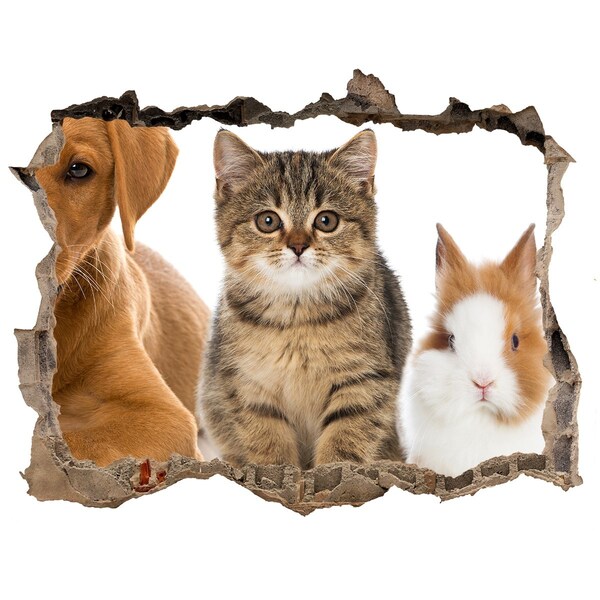 Fali matrica lyuk a falban Barátok örökre