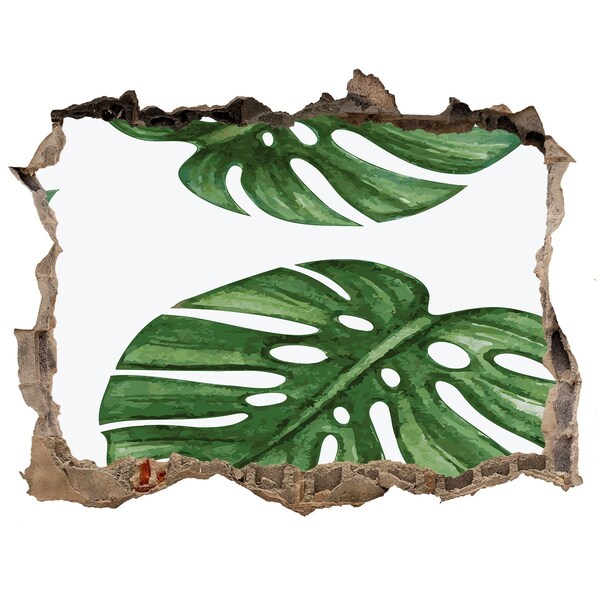 Fali matrica lyuk a falban Monstera