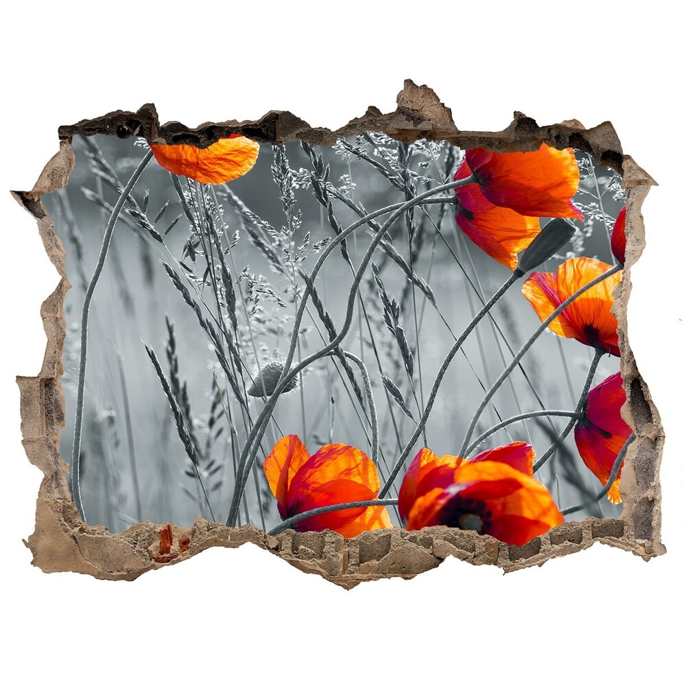 Fali matrica lyuk a falban Vadvirágok pipacsok