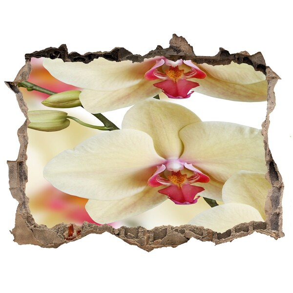 Fali matrica lyuk a falban Orchidea