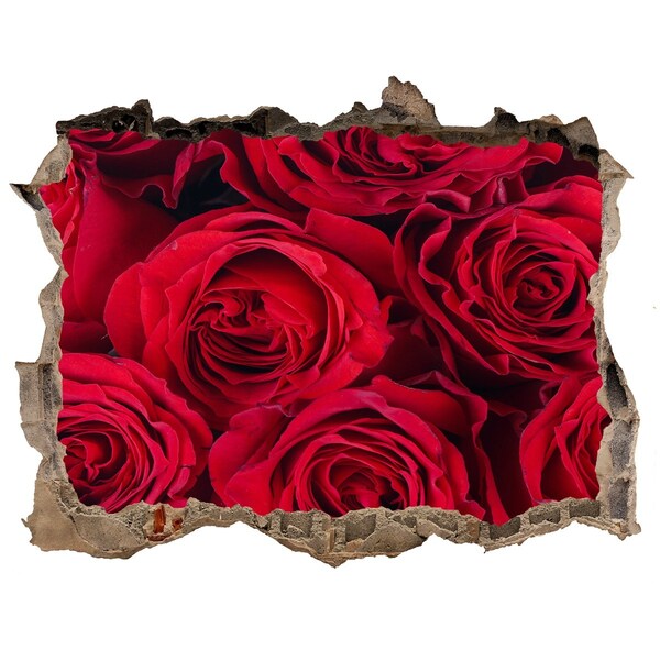 Fali matrica lyuk a falban Rózsák egy romos falban