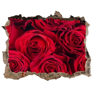 Fali matrica lyuk a falban Rózsák egy romos falban