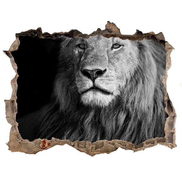 Fali matrica lyuk a falban Oroszlán egy lyukban a falban