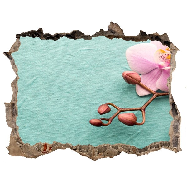 Fali matrica lyuk a falban Orchidea virág egy sérült falban