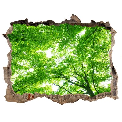 Fali matrica lyuk a falban Zöld erdő
