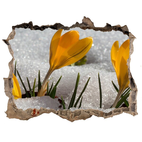 Fali matrica lyuk a falban Crocus a hóban
