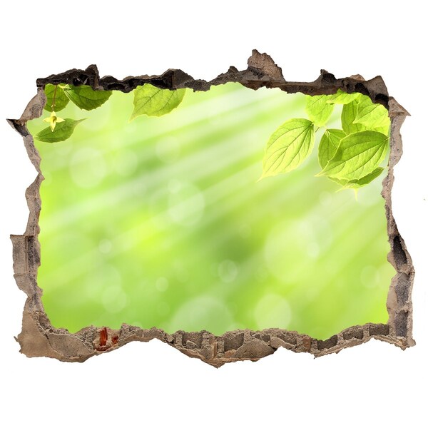 Fali matrica lyuk a falban Zöld paradicsom a fal mögött