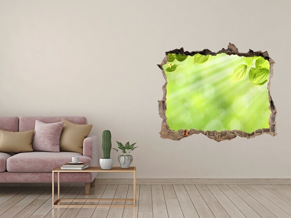 Fali matrica lyuk a falban Zöld paradicsom a fal mögött