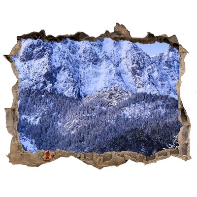 Fali matrica lyuk a falban Hegyi táj téli tájban