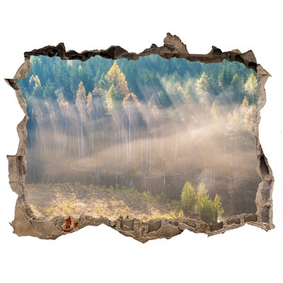 Fali matrica lyuk a falban Köd az erdőben
