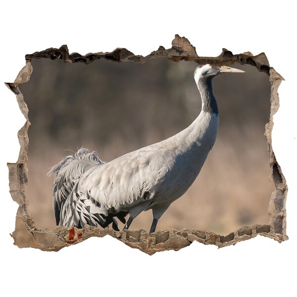 Fali matrica lyuk a falban Daru természetes élőhelyén