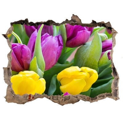 Fali matrica lyuk a falban Színes tulipán