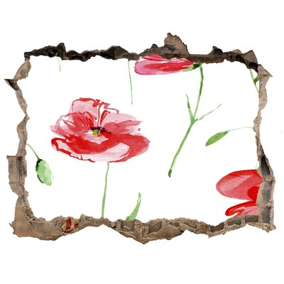 Fali matrica lyuk a falban Viráglyuk a falban