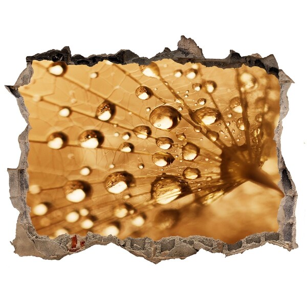 Fali matrica lyuk a falban Cseppek egy levélen