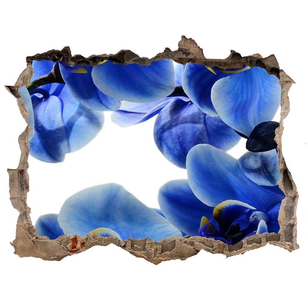 Fali matrica lyuk a falban Kék orchidea