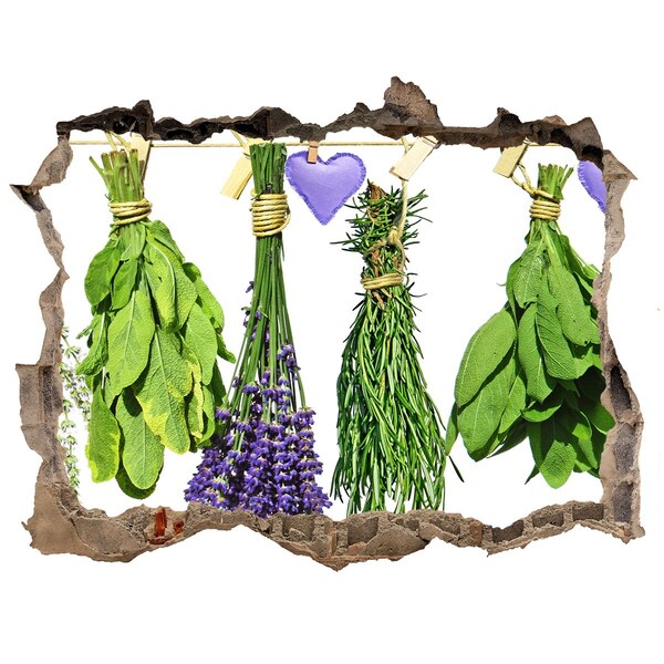 Fali matrica lyuk a falban Herbs egy húr