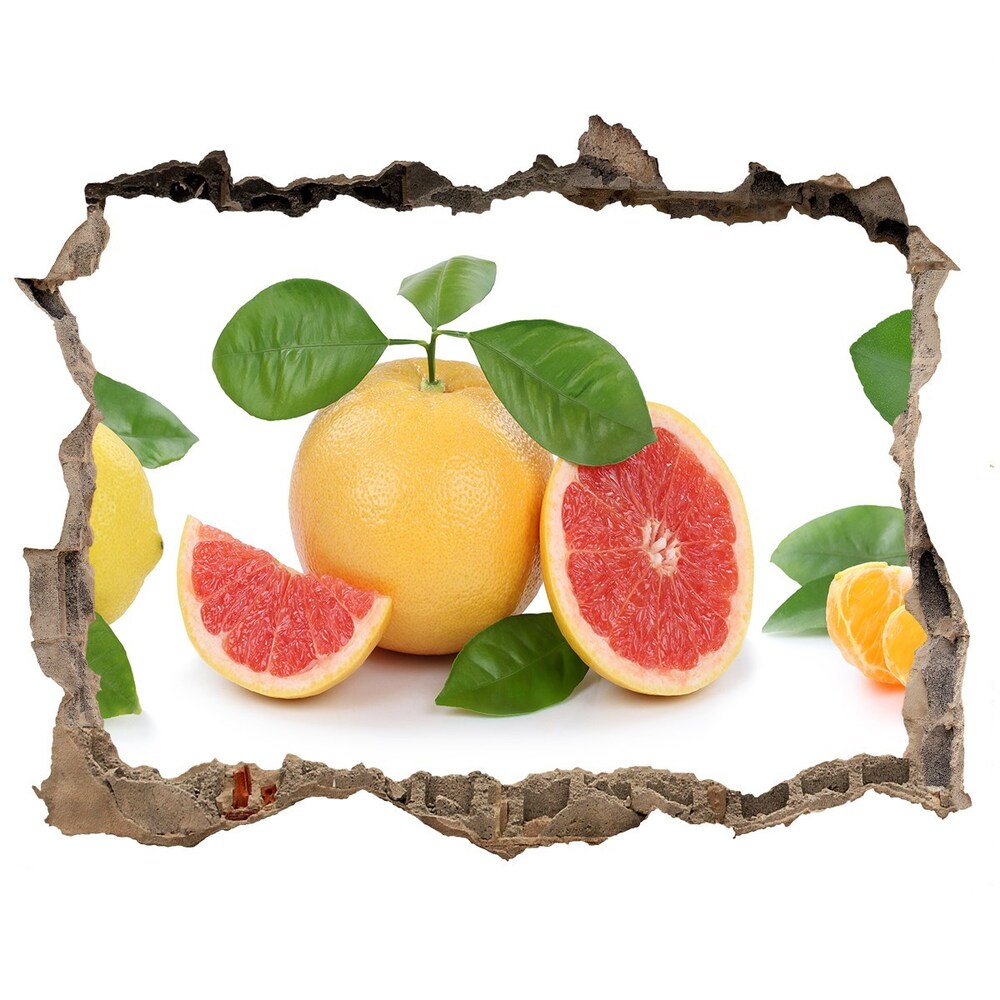 Fali matrica lyuk a falban Citrusfélék